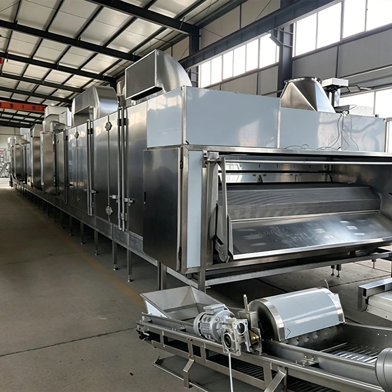 Roasting Oven